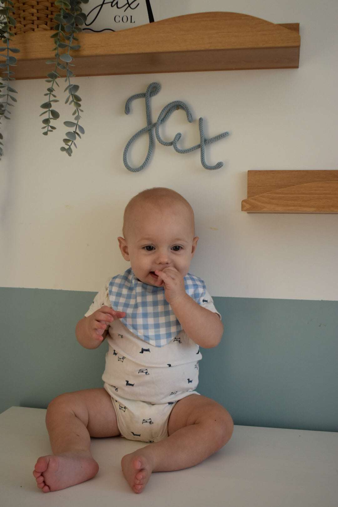 Dribble Bib Bamboo Cotton | Vintage Blue Gingham
