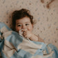 Forget-Me-Not Organic Fitted Bassinet Sheet/Change Pad Cover