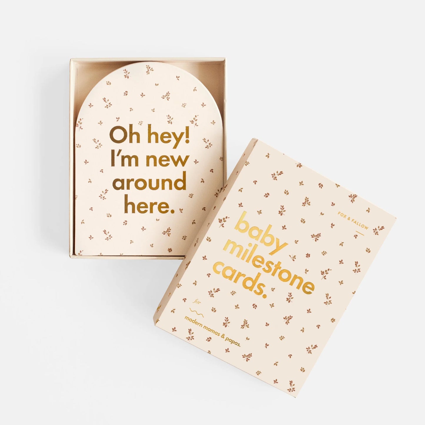 Baby Milestone Cards Broderie